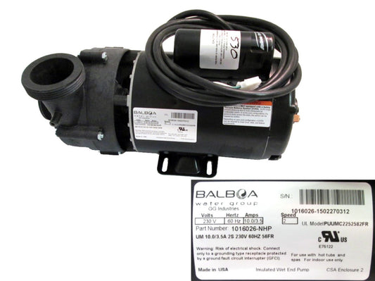 MASTER SPAS Pump, 10a 2sp 230v 56fr - X320530